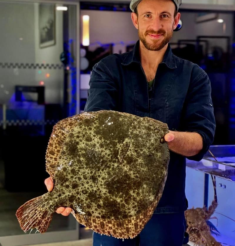 Pierre présentant un turbot entier